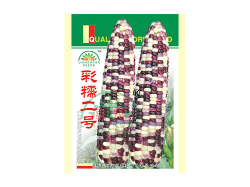 彩糯二號 彩糯二號